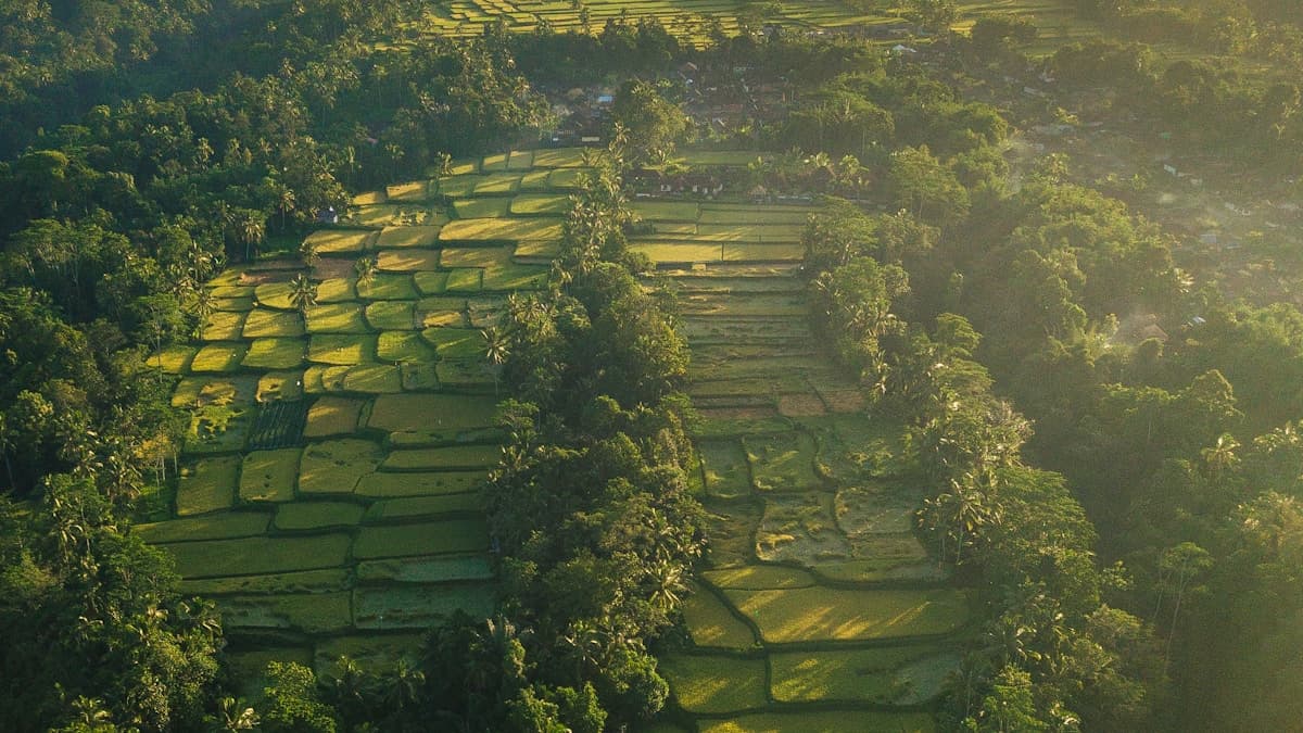 Sustainable tourism nature Thailand