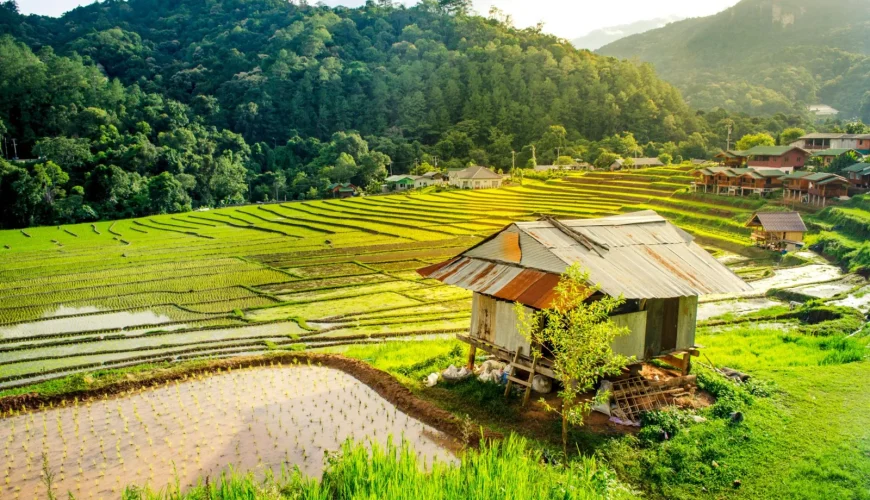 P UBQ1bfu41qTzfsj PP3WYYQtoDFaBAINXxpVPjRv82aKNeWqbr i79vzS5PvKTP2oSjqIqwdSLmPKM0t5k3qMylNvFNMTgV3P7PXPYclE