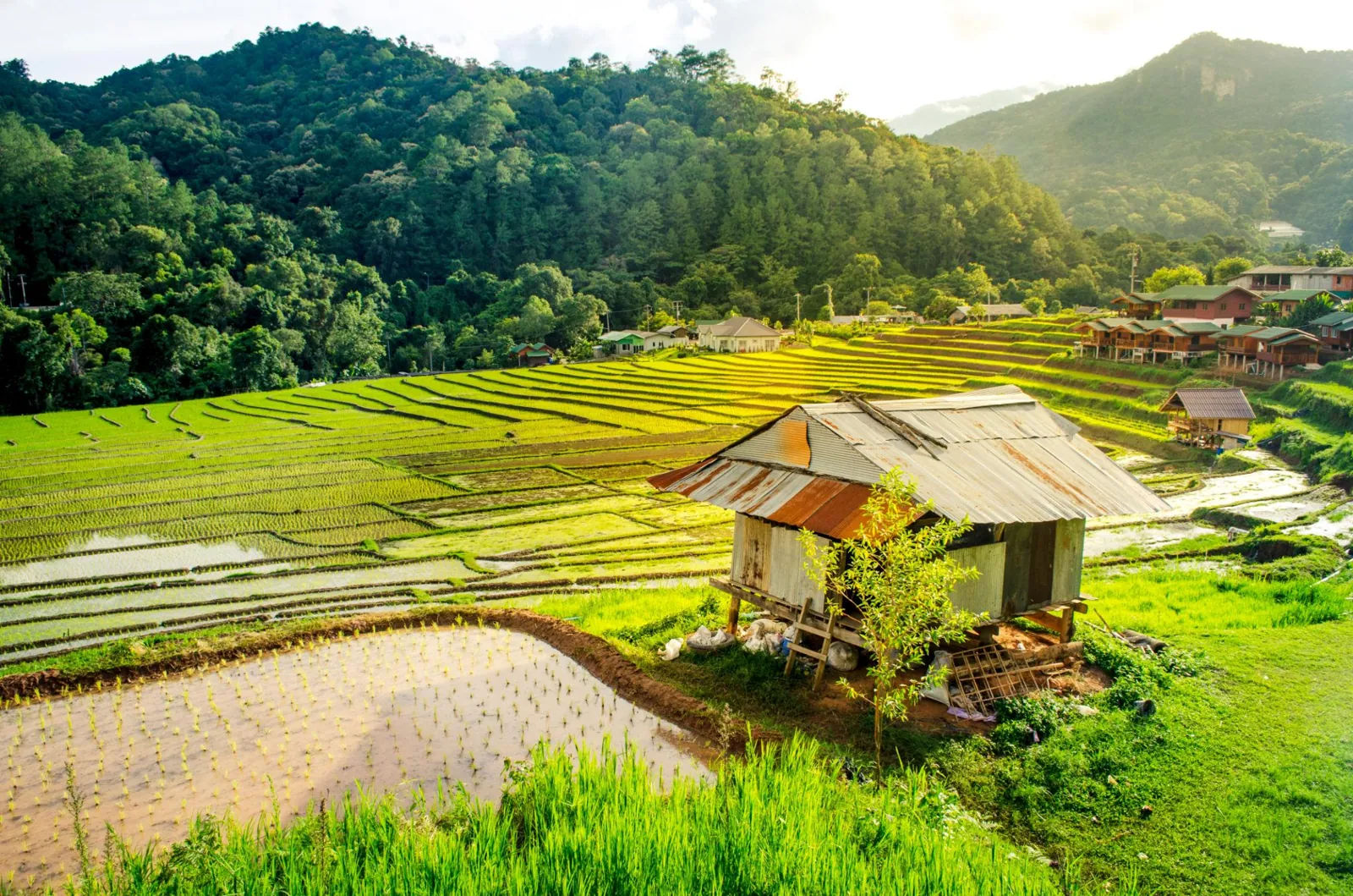 P UBQ1bfu41qTzfsj PP3WYYQtoDFaBAINXxpVPjRv82aKNeWqbr i79vzS5PvKTP2oSjqIqwdSLmPKM0t5k3qMylNvFNMTgV3P7PXPYclE