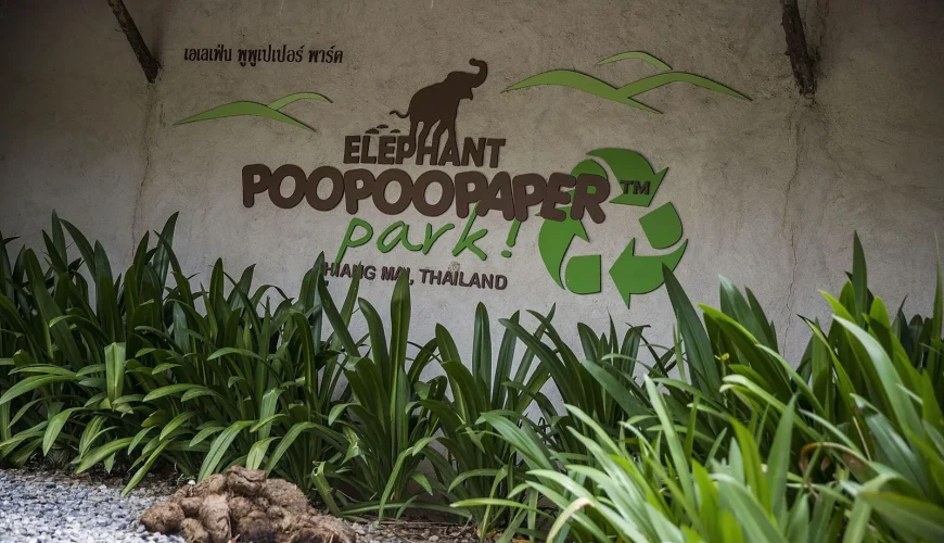 PjmXxvhlisQAu25NIqz2f7Q0irQWs9xjDe0vSTQrDWVtCJXluAlqSBsFr6aweSmndBo2ktACqV8gjnWDTJSddEFeuYJwzJMZgl9Ko7jJN s