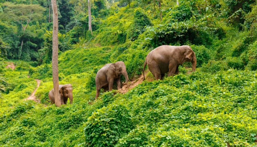 BEZPdq9aYK2HItKplm5QZQQnnK PvMBIhI53d57L1eclBXJTviv r7uIbelgo4 aQGWvkye4rC7RIjhz02ikYZukN4B86XmGeEZwt9USPds