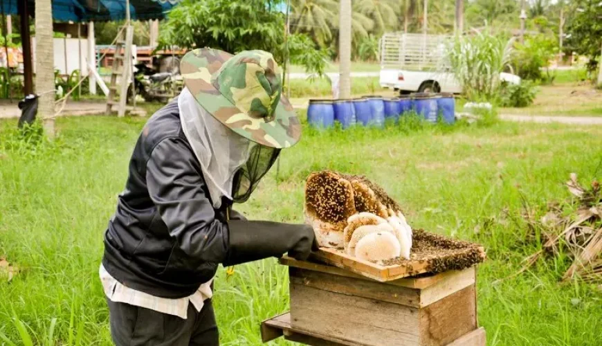#2 Beekeeper.jpg - sustainable tourism Thailand