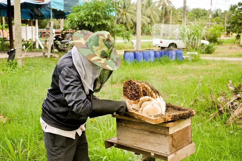 #2 Beekeeper.jpg - sustainable tourism Thailand