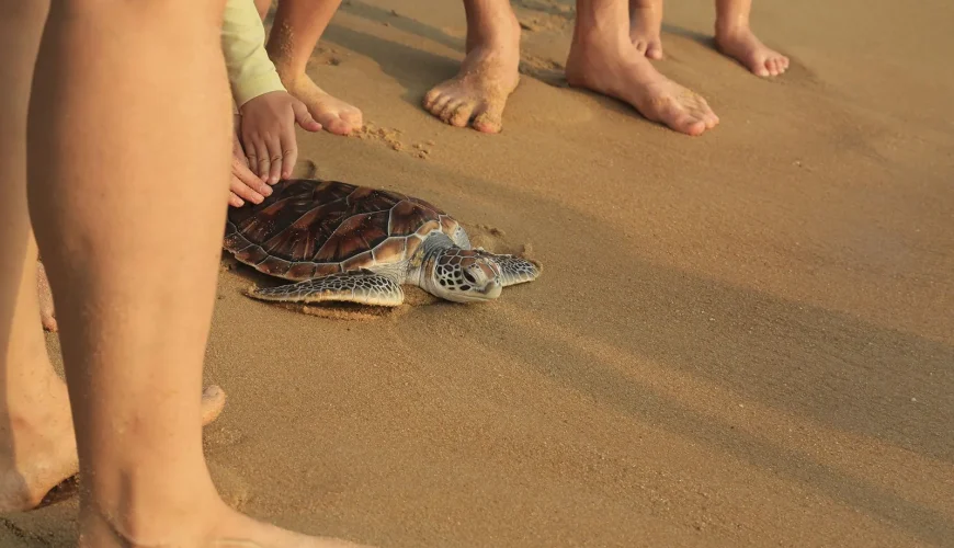 R8riOOzU hF WFyiYxN Jk0 JfXGRK4j8DyMegCh2PCdXIqV110KVET1tn60zxzQsCyKqr kWxvDSMPk5ur7z Kkrmd6KRXo3ziLjPVbQ4w