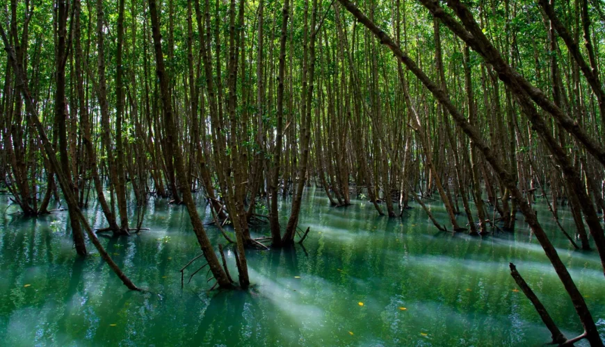 DmOm0RhErqXs4XxKuPfN0xN2GXUVxc6LoezqGomVbETftje2XZsNrwhW w93KRliEDc1Wo7woiPu35Y5pExOc389uGQORyTun1Xb sOBHL0