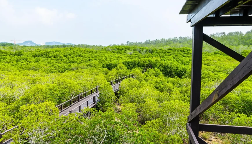 lSDFgrZ12eI7IWsxGDAeF5a5mLLL3Wgum7oihQcICYS1NKK869d5jY e7Xo8LhXwA1tx1I6kFw776vdi p6RdN8UMX3fo1JDg66Qe3Zysr0