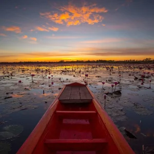 haT1bxFe9zuY5iO66rFgn35yuFMx2jwUDNZxLiHSOjBdm8Y9bHF3ntULeXZeThWKHiplfEMEPyZGPXSJYRl6s0WPlOHv87igwH3mBW7hBi0