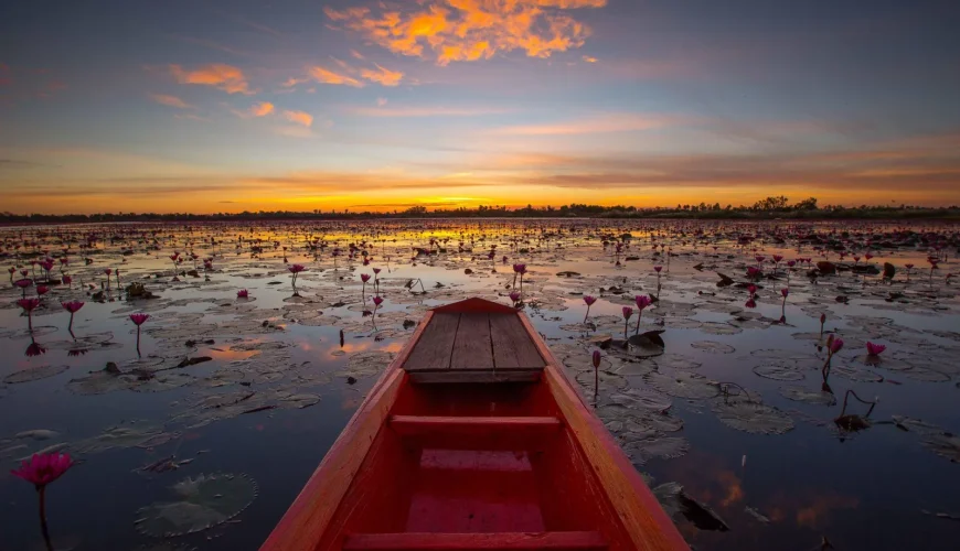 haT1bxFe9zuY5iO66rFgn35yuFMx2jwUDNZxLiHSOjBdm8Y9bHF3ntULeXZeThWKHiplfEMEPyZGPXSJYRl6s0WPlOHv87igwH3mBW7hBi0